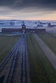 Watch Free Auschwitz Countdown to Liberation (2025)