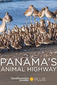 Watch Free Panamas Animal Highway (2017)