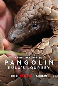 Watch Free Pangolin Kulus Journey (2025)