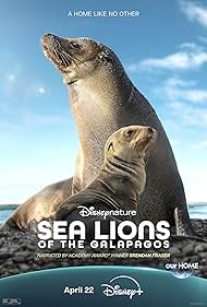 Watch Free Sea Lions of the Galapagos (2025)