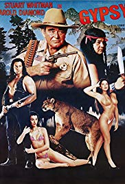 Watch Free Gypsy (1991)