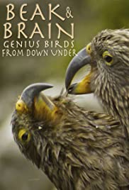Watch Free Beak & Brain Genius Birds from Down Under (2013)